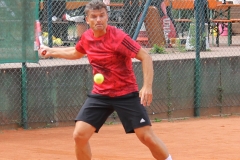 Cebulla