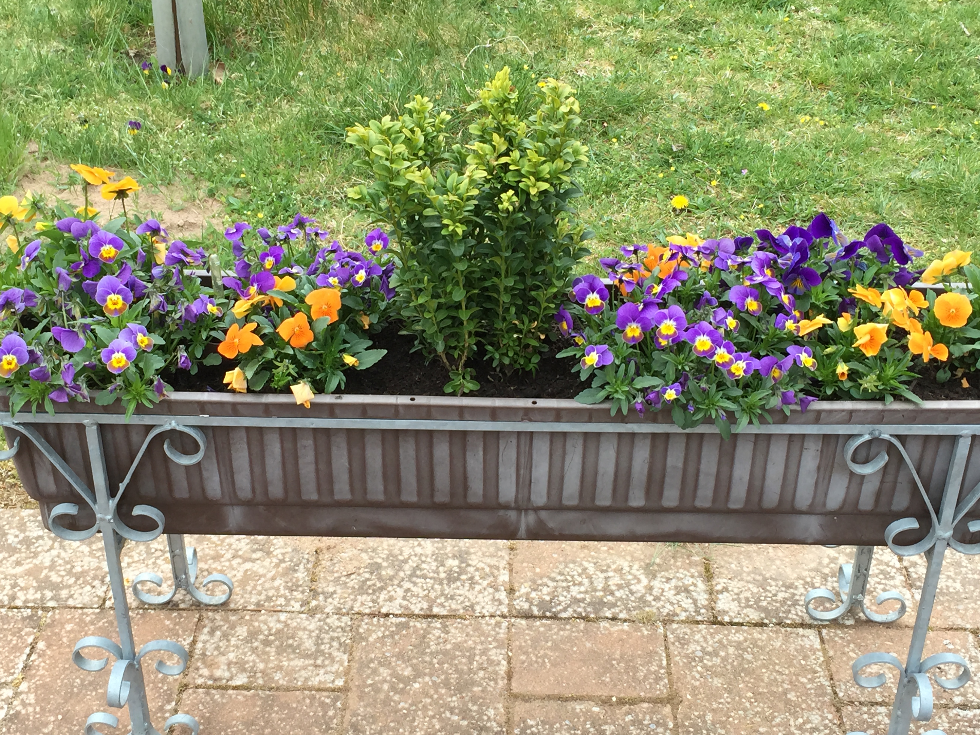 Bild-1