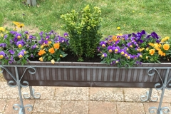 Bild-1