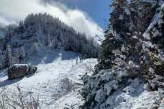 Bild-10