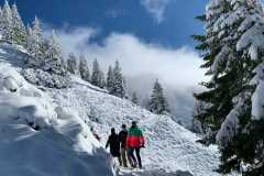 Bild-13